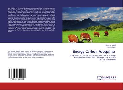 Energy Carbon Footprints