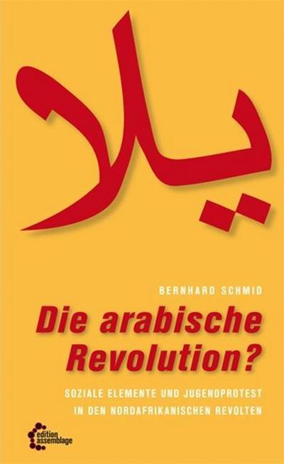 Die arabische Revolution?: Soziale Elemente und Jugendprotest in den nordafrikanischen Revolten