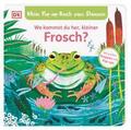 Mein Pop-up-Buch zum Staunen - Wo kommst du her, kleiner Frosch?