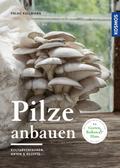 Pilze anbauen von Folko Kullmann | Ebook