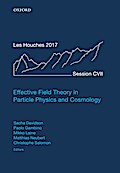 Effective Field Theory in Particle Physics and Cosmology