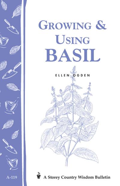Growing & Using Basil