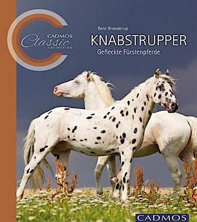 Knabstrupper