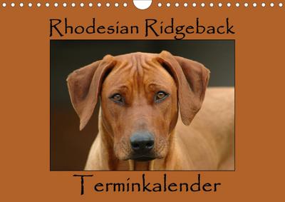 Wyk - www. germanpix. net, A: Rhodesian Ridgeback Terminkale
