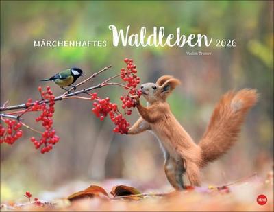 Märchenhaftes Waldleben Posterkalender 2026