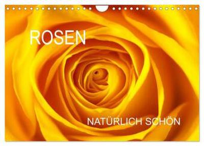 Rosen natürlich schön (Wandkalender 2026 DIN A4 quer), CALVENDO Monatskalender