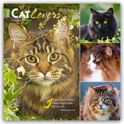 Cat Lovers - Katzenliebhaber 2026 - 16-Monatskalender