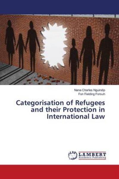 Categorisation of Refugees and their Protection in International Law