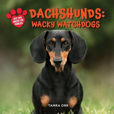 Dachshunds: Wacky Watchdogs