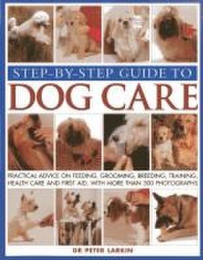 Step-by-step Guide to Dog Care