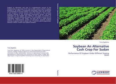Soybean An Alternative Cash Crop For Sudan