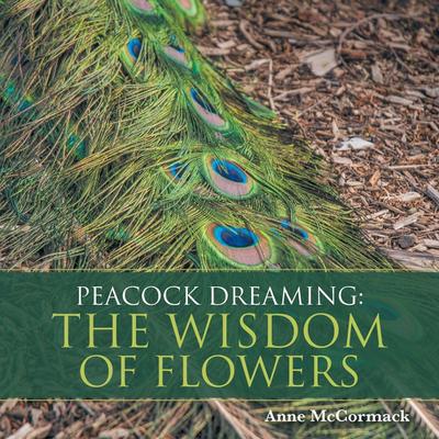 Peacock Dreaming