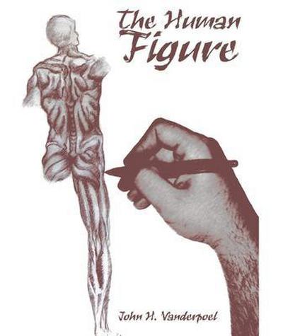 The Human Figure