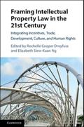 Framing Intellectual Property Law in the 21st             Century