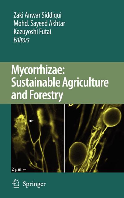 Mycorrhizae: Sustainable Agriculture and Forestry