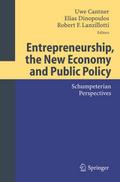 Entrepreneurship, the New Economy and Public Polic