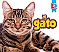 Mi gato