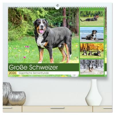 Große Schweizer - Gigantische Sennenhunde (hochwertiger Premium Wandkalender 2026 DIN A2 quer), Kunstdruck in Hochglanz