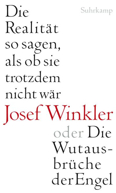 Winkler, J: Realität so sagen