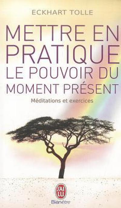 Mettre en pratique le pouvoir du moment présent : Enseignements essentiels, méditations et exercices pour jouir d’une vie libérée