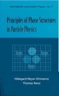 PRINCIPLES OF PHASE STRUCTURES IN PARTICLE PHYSICS