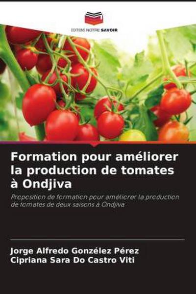 Formation pour améliorer la production de tomates à Ondjiva