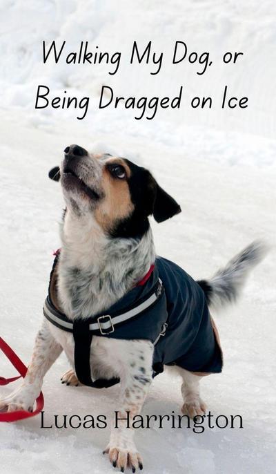 Walking My Dog, or Being Dragged on Ice