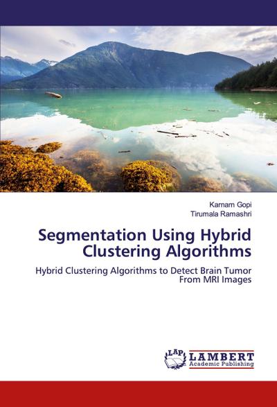 Segmentation Using Hybrid Clustering Algorithms