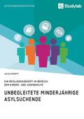 Unbegleitete minderjährige Asylsuchende. Ein Resilienzkonzept im Bereich der Kinder- und Jugendhilfe