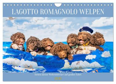 Lagotto Romagnolo Welpen - Sieben kleine Weltentdecker auf großer Fahrt (Wandkalender 2026 DIN A4 quer), CALVENDO Monatskalender