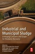 Industrial and Municipal Sludge