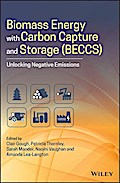 Biomass Energy with Carbon Capture and Storage (BECCS)