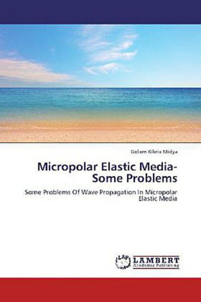 Micropolar Elastic Media- Some Problems