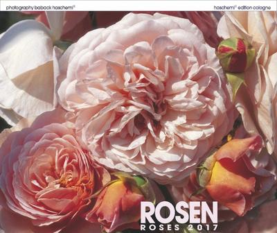 Rosen 2026