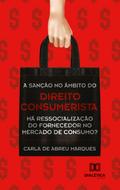 A sanção no âmbito do direito consumerista
