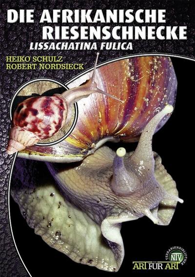 Die afrikanische Riesenschnecke