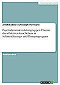 Psychodynamik in Kleingruppen. Theorie des affektiven Geschehens in Selbsterfahrungs- und Therapiegruppen