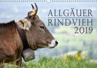 Allgäuer Rindvieh 2019 (Wandkalender 2019 DIN A3 quer)