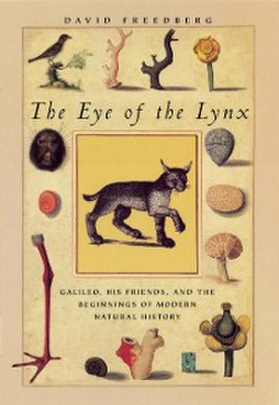 Eye of the Lynx