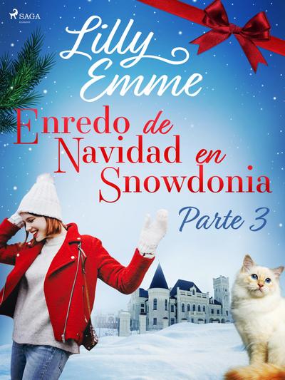 Enredo de Navidad en Snowdonia - Parte 3