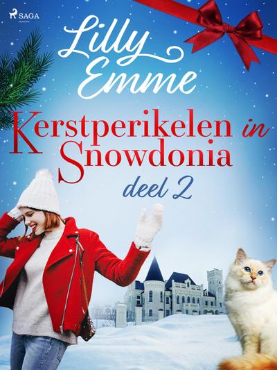Kerstperikelen in Snowdonia - deel 2