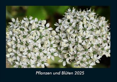 Pflanzen und Blüten 2025 Fotokalender DIN A4