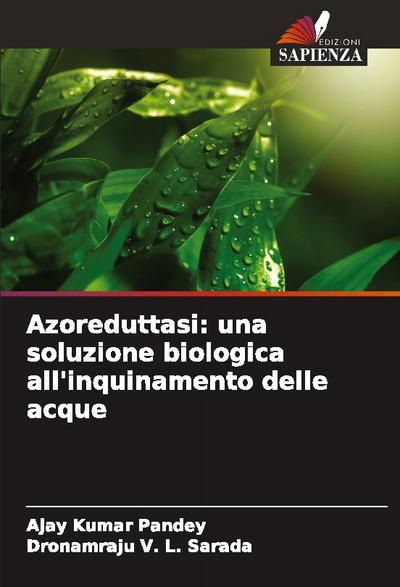 Azoreduttasi: una soluzione biologica all’inquinamento delle acque