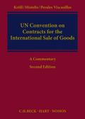 UN Convention on Contracts for the International S