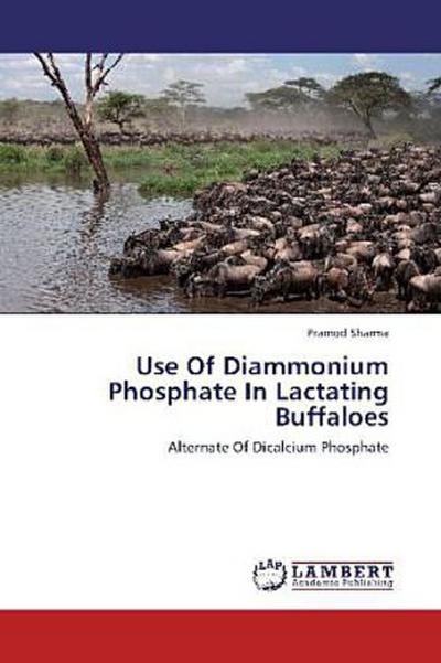 Use Of Diammonium Phosphate In Lactating Buffaloes