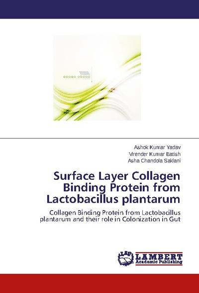 Surface Layer Collagen Binding Protein from Lactobacillus plantarum