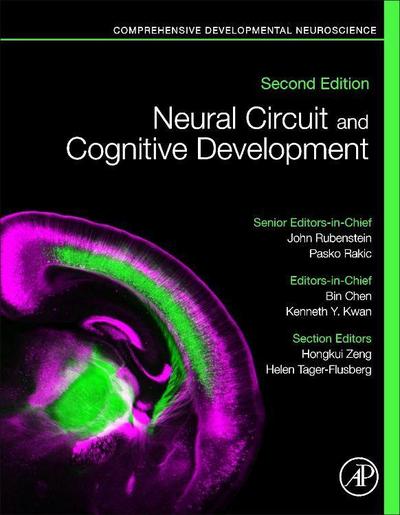 Neural Circuit and Cognitive Development