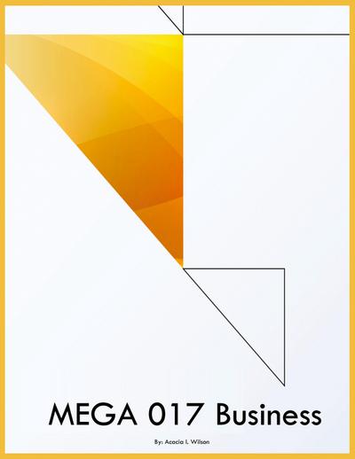 MEGA 017 Business