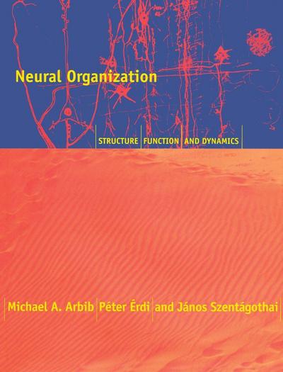 Neural Organization