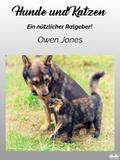 Hunde Und Katzen